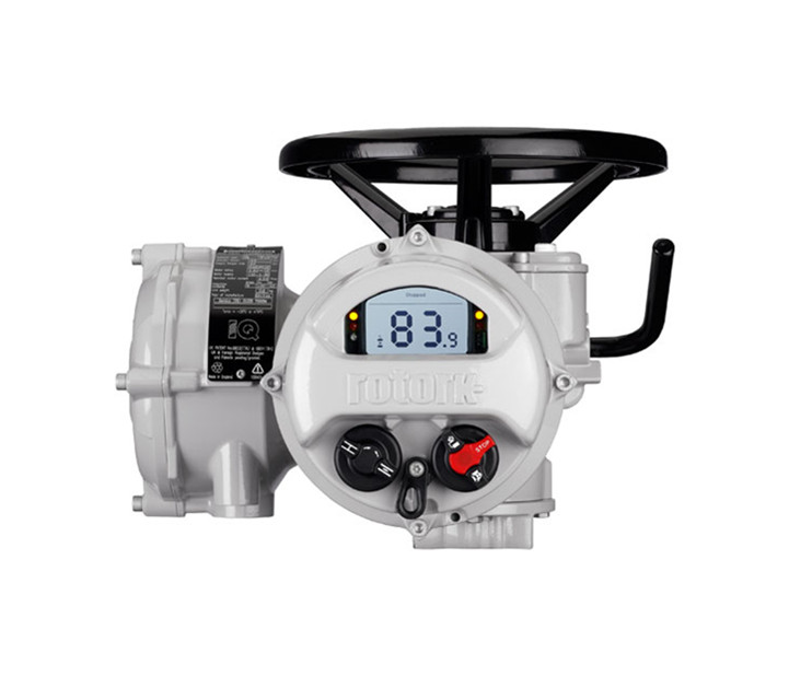 羅托克電動(dòng)執(zhí)行器型號(hào)是否齊全？哪些廠家信得過(guò)？