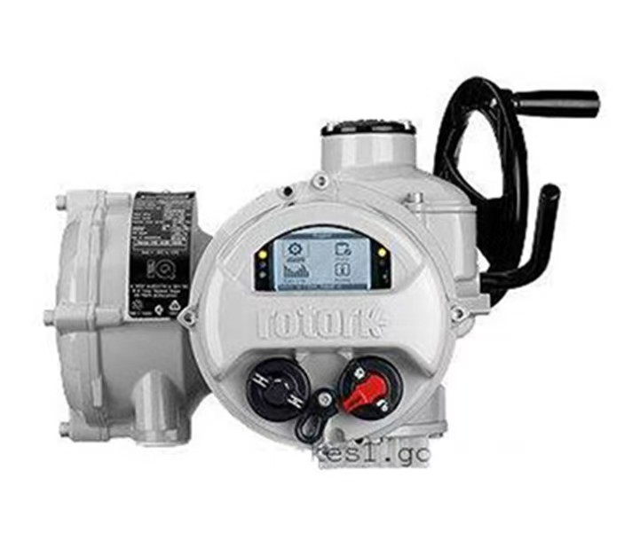 羅托克電動執行器的閥桿沒有反應怎么辦